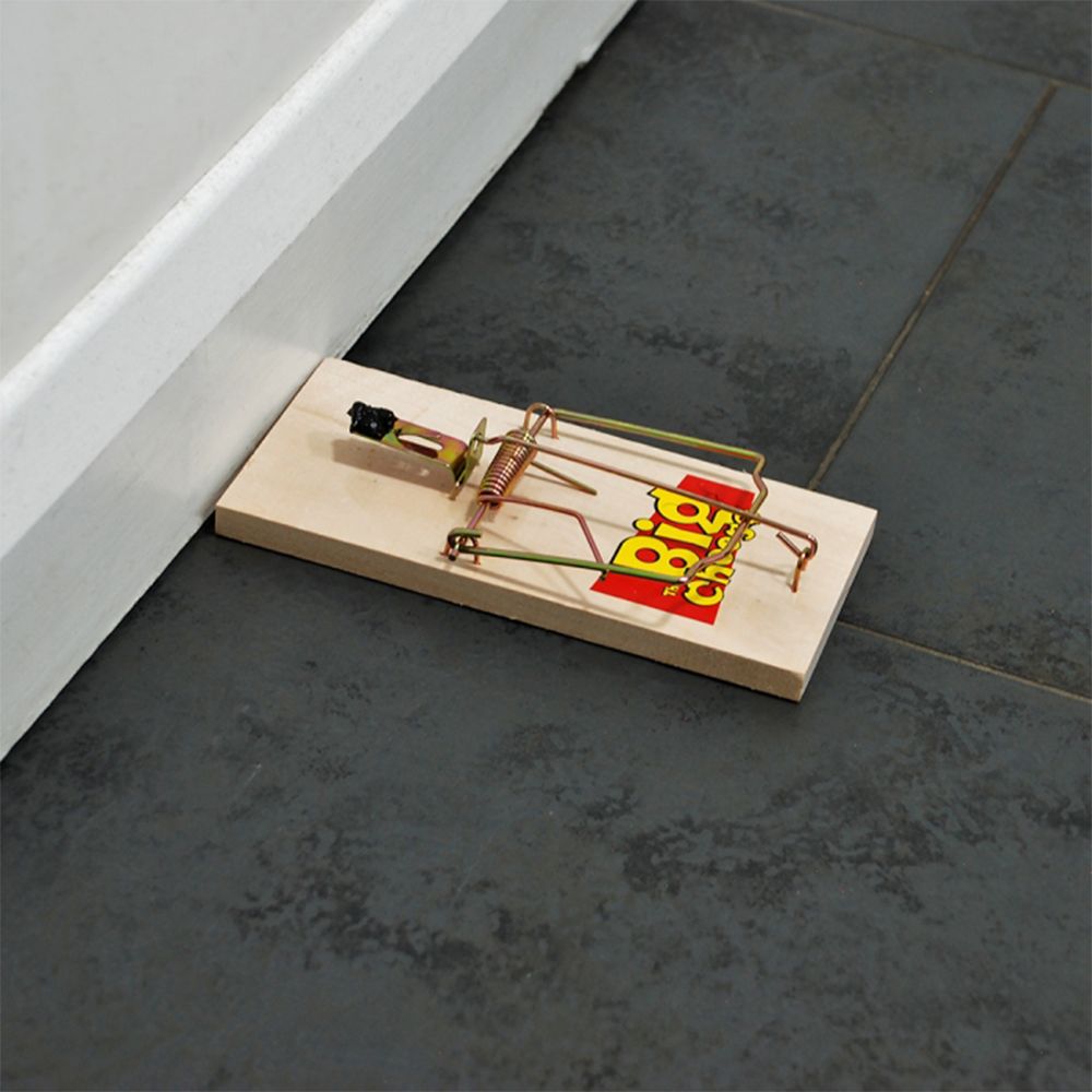 Big Cheese Wooden Rat Trap (2)