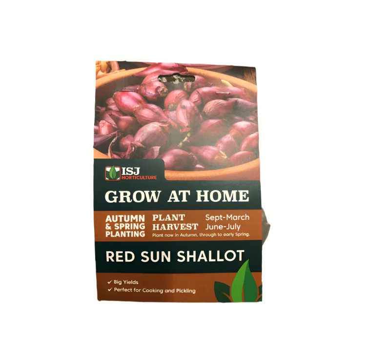 Shallot Sets - Red Sun