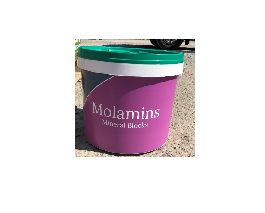 Dallas Keith MolaMin Hi Mag for sheep & cattle 20Kg