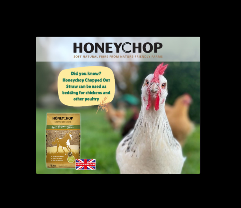 Honeychop Chaff Chopped Oat Straw 12.5Kg