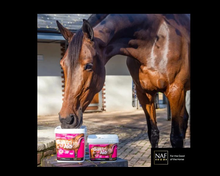 NAF Five Star GastriAid Powder