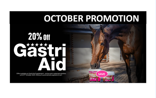 NAF Five Star GastriAid Powder