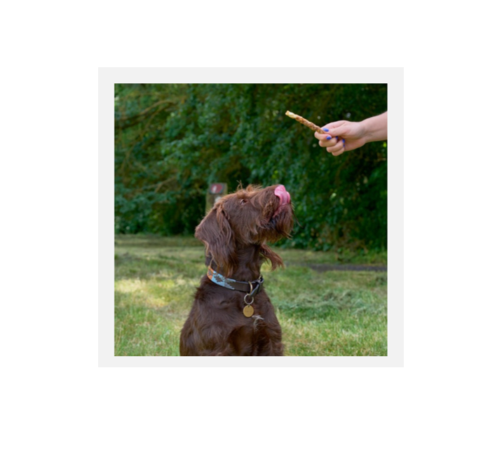 Bingham Farms Rawhide Munchy Sticks - Natural (100 x 12cm)