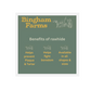 Bingham Farms Rawhide Munchy Sticks - Natural (100 x 12cm)