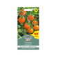 Mr Fothergill's Tomato Orangeto F1