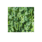 Mr Fothergill's Pea Kudo