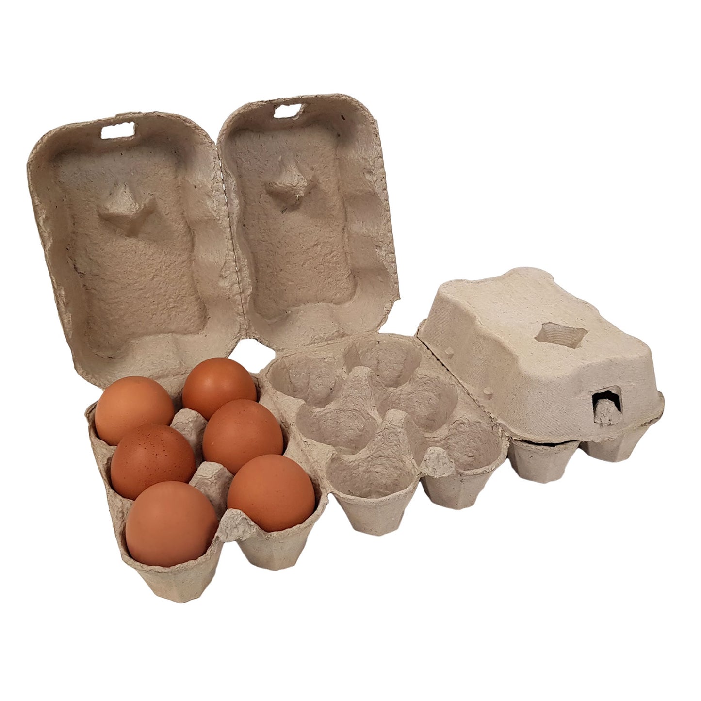 Eton Egg Box - Holds 6 Eggs