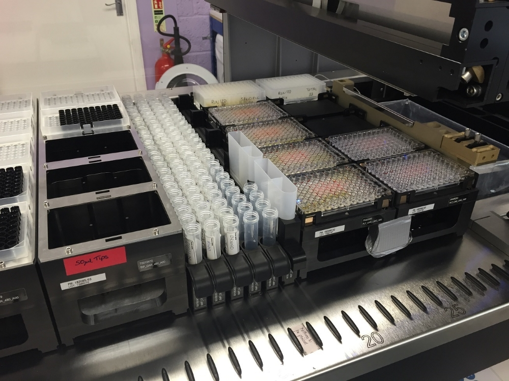 EquiSal Tapeworm Test & Kit