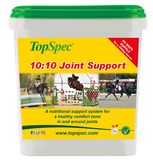 TopSpec 10:10 Joint Support Supplement