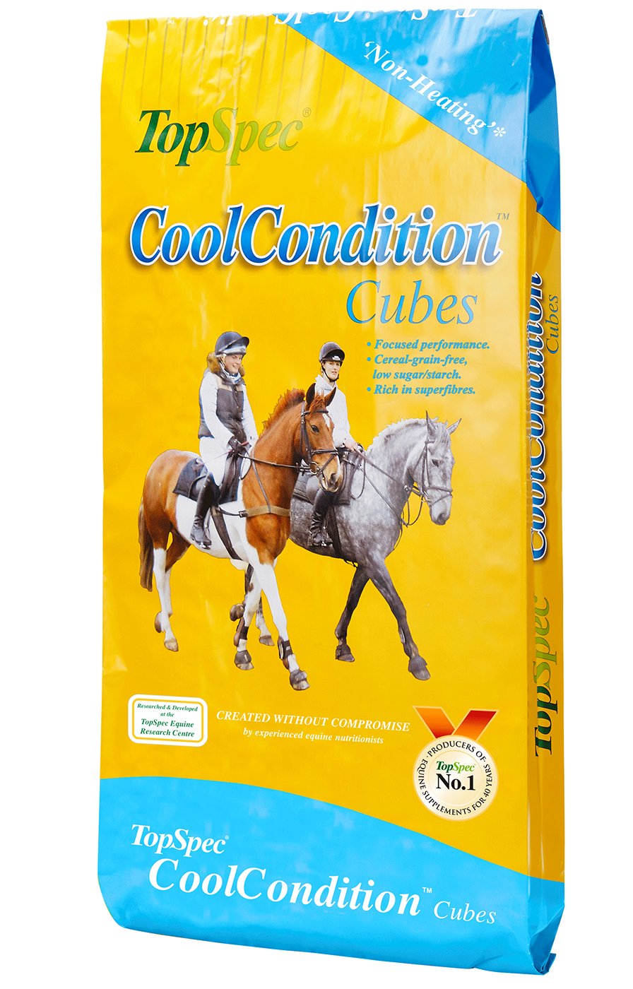 TopSpec Cool Condition Cubes 20Kg