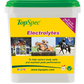 TopSpec Electrolytes Supplement