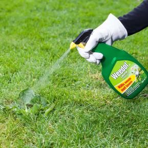 Weedol® Gun!™ Lawn Weedkiller Ready to Use 800ml