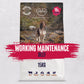 Alpha Worker Maintenance 15kg