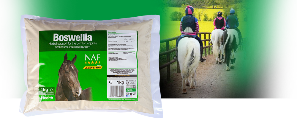 NAF Boswellia Powder 1Kg