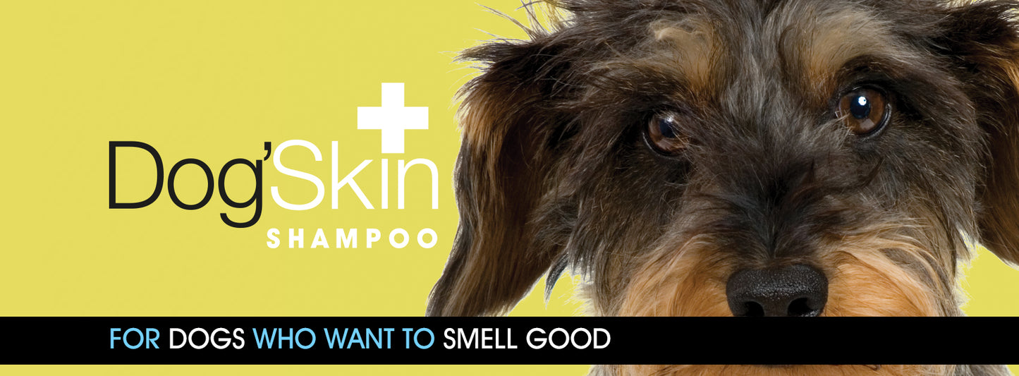 NAF Natural Vet Care Dog'Skin Shampoo 300ml