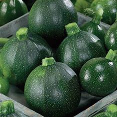 Mr Fothergill's Vegetable Seeds Courgette Tondo di Piacenza - 20 Seeds