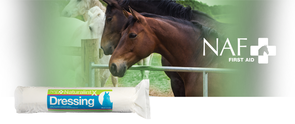 NAF Naturalint-X Dressing 500g