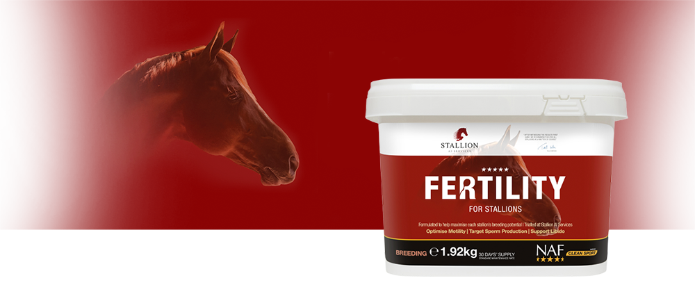 NAF Fertility For Stallions