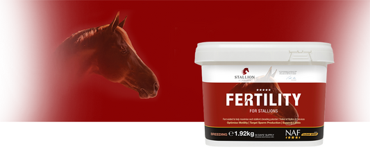 NAF Fertility For Stallions