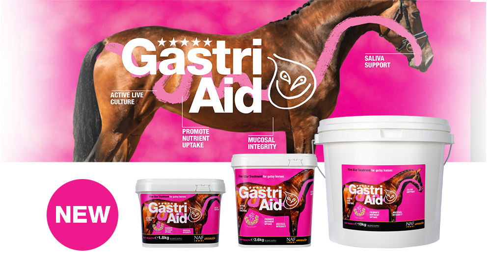 NAF Five Star GastriAid Powder