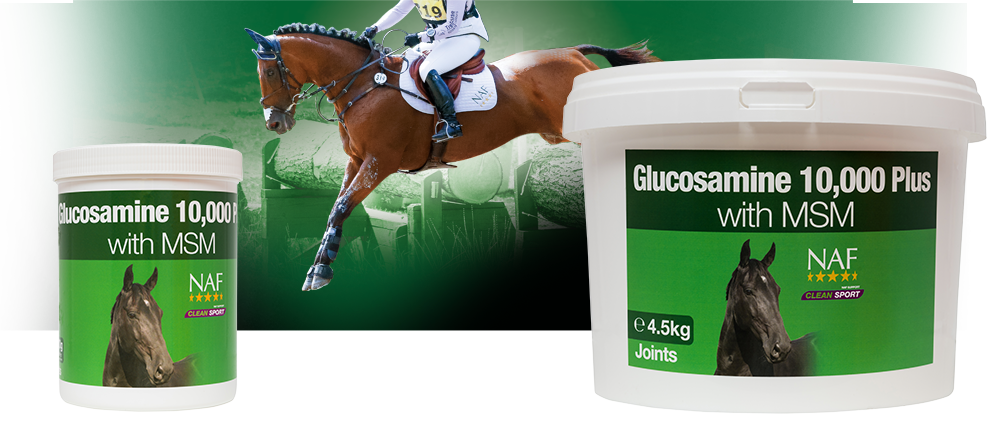 NAF Glucosamine 10,000 Plus With MSM