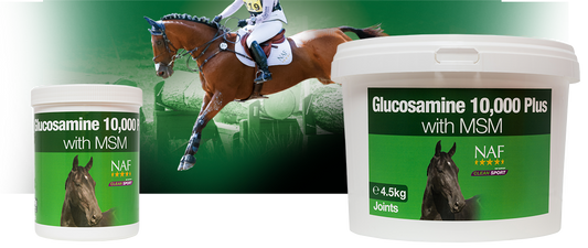 NAF Glucosamine 10,000 Plus With MSM