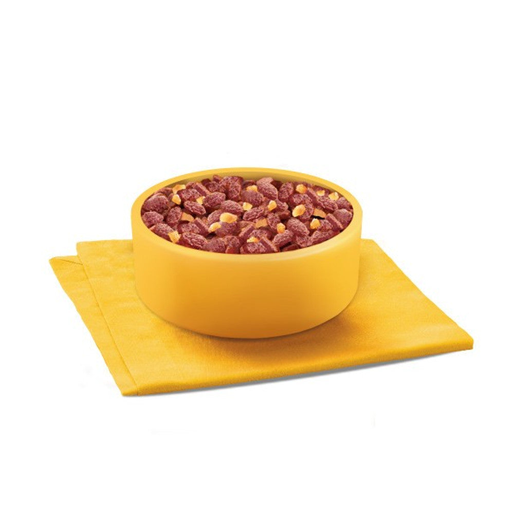 Pedigree Adult Dog Pouches Mixed Selection in Jelly 40 for 36 x100g Mega Pack