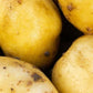 Seed Potato First Early - Foremost