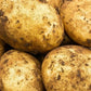 Seed Potato Main Crop - Maris Piper