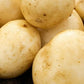 Seed Potato First Early - Pentland Javelin