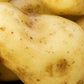 Seed Potato First Early - Sharpes Express