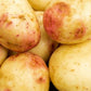 Seed Potato Main Crop - Cara