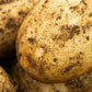 Seed Potato Second Early - Nadine