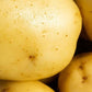 Seed Potato Second Early - Wilja