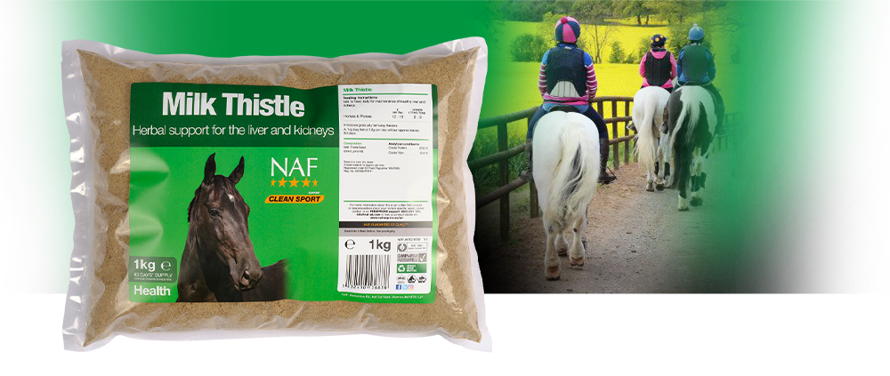 NAF Milk Thistle 1Kg