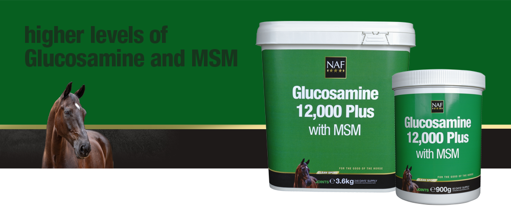 NAF Glucosamine 12,000 Plus With MSM - NEW Formulation