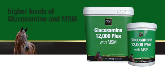 NAF Glucosamine 12,000 Plus With MSM - NEW Formulation