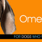 NAF Natural Vet Care Dog Omega Oil 1L