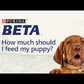 PURINA BETA® Puppy Chicken Dry Dog Food 14kg