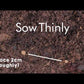 Mr Fothergill's Vegetable Seeds Beetroot Pablo F1 - 150 Seeds