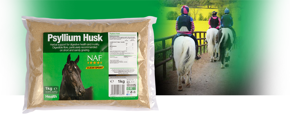 NAF Psyllium Husk Powder 1Kg