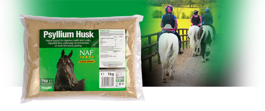 NAF Psyllium Husk Powder 1Kg