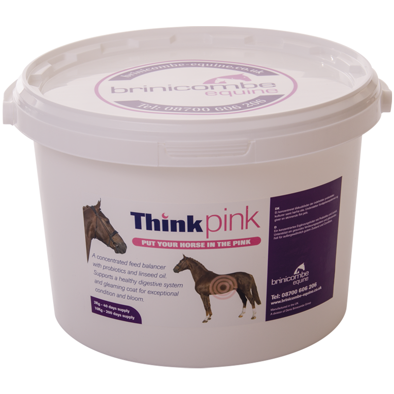 Dennis Brinicombe Equine Think Pink