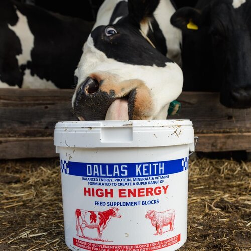 Dallas Keith FeedMins Block Cattle Protein 20Kg