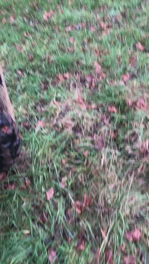 Hippo Safety Fence Corner Holder
