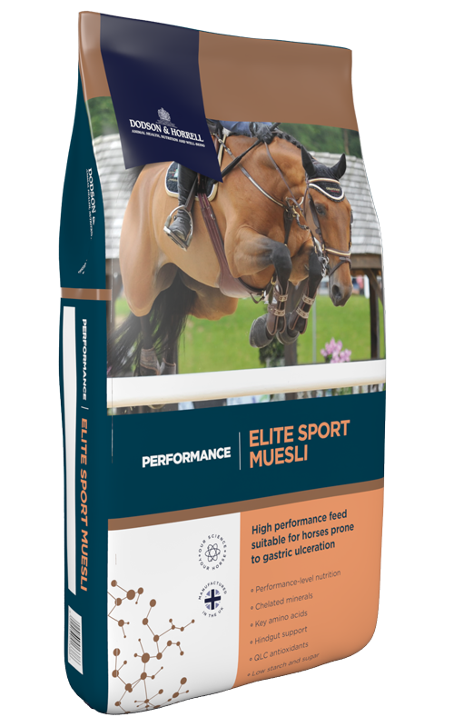 Dodson & Horrell Elite Sport Muesli