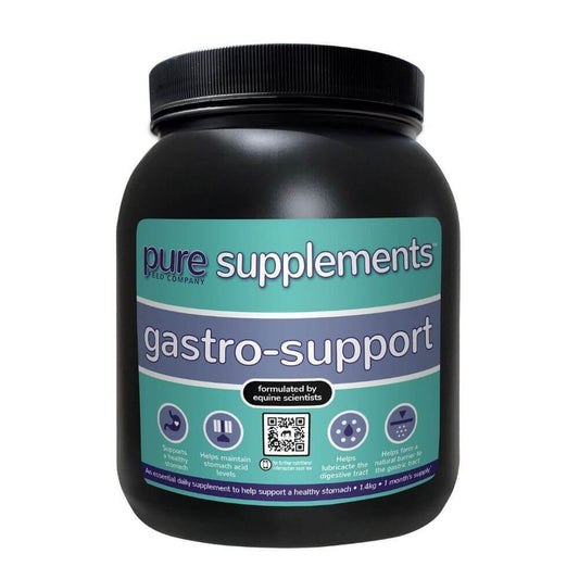 Pure Supplement Gastro Support 1.4Kg