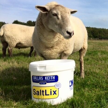 Dallas Keith SaltLix + Zinc Bucket 20Kg