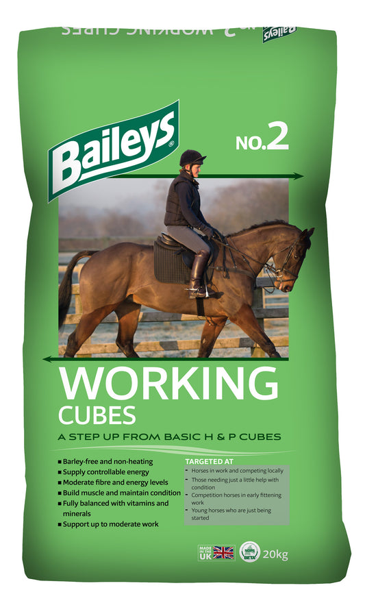 Baileys No.2 Working Cubes 20Kg