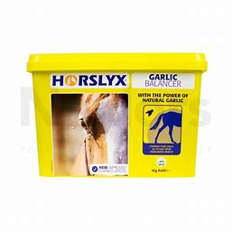 Horslyx Balancer Garlic